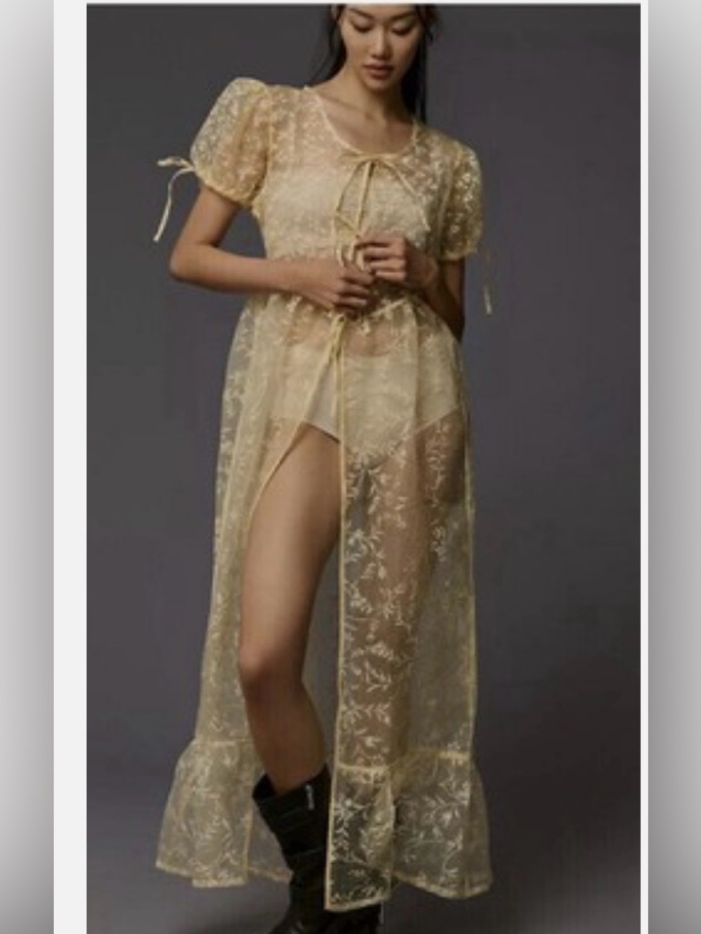 Anthropologie Pale Yellow Embroidered Sheer Maxi Dress